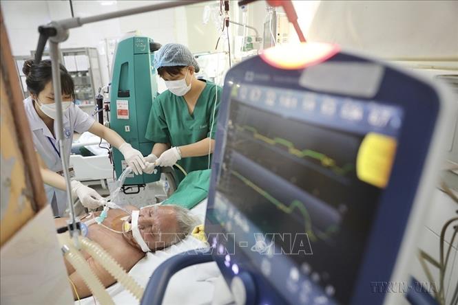 Chăm sóc bệnh nhân mắc sốt xuất huyết tại Bệnh viện Bệnh Nhiệt đới Trung ương (1/11/2022). Ảnh: Minh Quyết - TTXVN