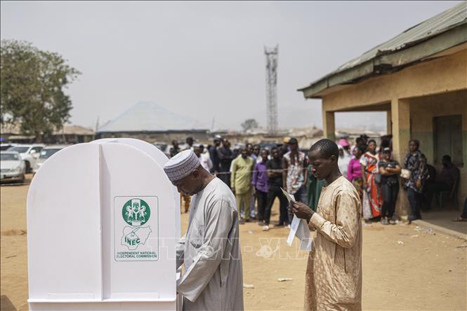 Cử tri bỏ phiếu tại một điểm bầu cử ở  Abuja, Nigeria, ngày 25/2/2023. Ảnh: AFP/TTXVN