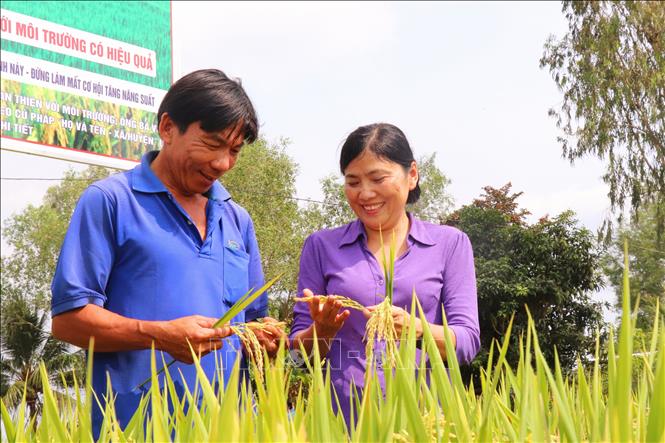 Độc đáo những mô hình chống rác thải nhựa  Môi trường Du lịch