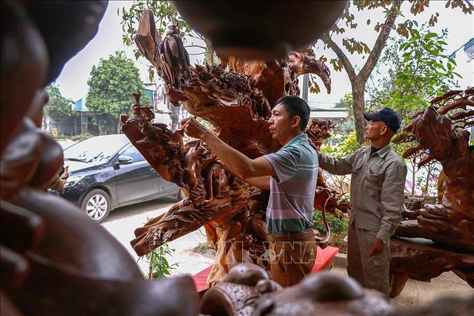 Trong ảnh: Cơ sở sản xuất của anh Đoàn Xuân Thành tại xóm Đoàn Kết, xã Lâm Sơn (Lương Sơn, Hòa Bình). Ảnh: Trọng Đạt - TTXVN