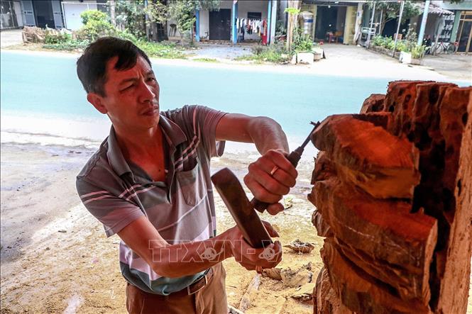 Trong ảnh: Anh Đoàn Xuân Thành chế tác một sản phẩm đặt hàng của khách từ khối gỗ Gù hương. Ảnh: Trọng Đạt - TTXVN