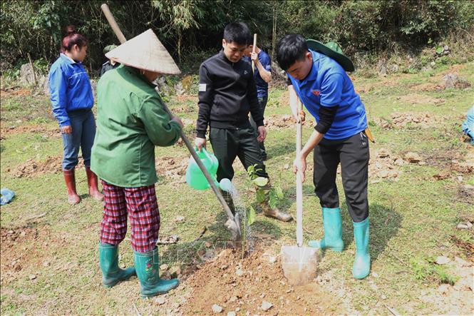Nhân dân trồng cây trong ngày phát động trồng cây. Ảnh: Vũ Hoàng Giang - TTXVN
