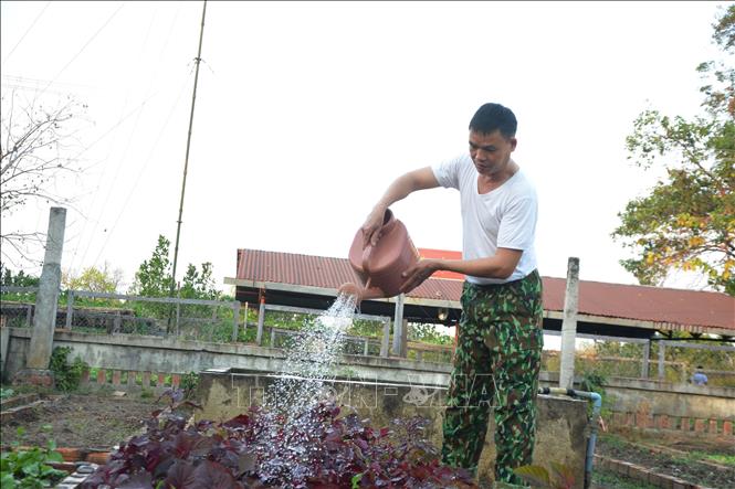 Chiến sĩ Đồn Biên phòng Ia Rvê, Bộ đội Biên phòng Đắk Lắk chăm sóc vườn rau, củ, quả. Ảnh: Tuấn Anh – TTXVN