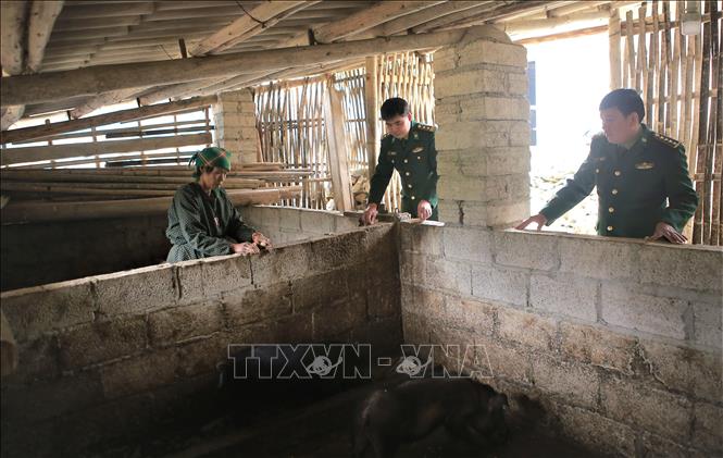 Trong ảnh: Bộ đội Biên phòng Cần Yên hỗ trợ lợn giống cho một hộ nghèo trên địa bàn. Ảnh: Chu Hiệu-TTXVN