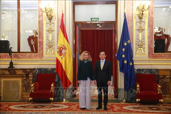 Deputy Prime Minister Tran Luu Quang meets with President of the Congress of Deputies Meritxell Batet in Madrid on March 1. VNA Photo: Tiến Nhất
