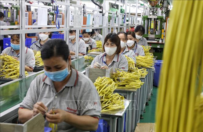 Production at the Taiwanese-invested Nienyi Vietnam Industrial Co. Ltd in Van Trung IP, Bac Giang province. VNA Photo: Danh Lam