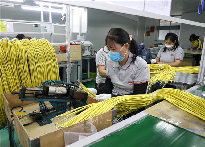 Production at the Taiwanese-invested Nienyi Vietnam Industrial Co. Ltd in Van Trung IP, Bac Giang province. VNA Photo: Danh Lam