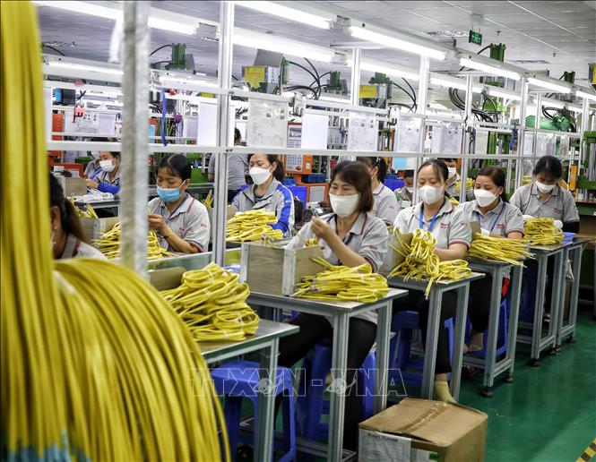 Production at the Taiwanese-invested Nienyi Vietnam Industrial Co. Ltd in Van Trung IP, Bac Giang province. VNA Photo: Danh Lam