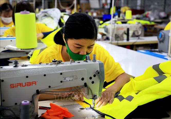 Production at the Dony Garment Co. Ltd in Binh Chanh district, Ho Chi Minh City. VNA Photo: Hồng Đạt