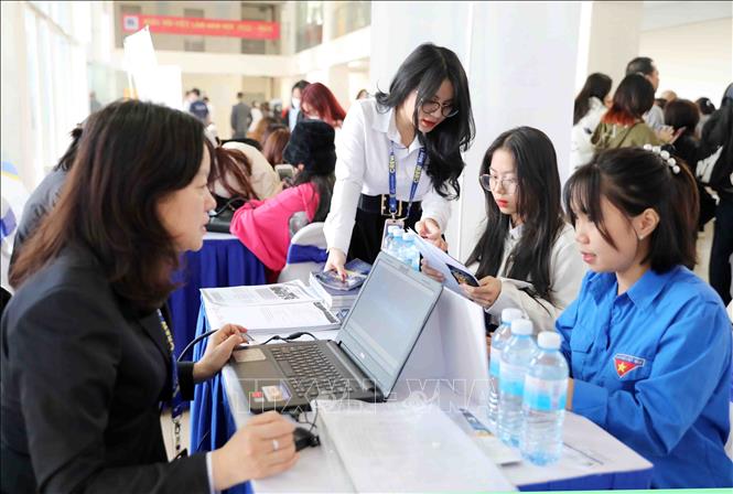 Ngày hội việc làm là cầu nối giúp sinh viên có cơ hội tiếp xúc, thể hiện năng lực bản thân và tìm kiếm cơ hội việc làm đúng chuyên ngành đào tạo. Ảnh: Thanh Tùng - TTXVN 