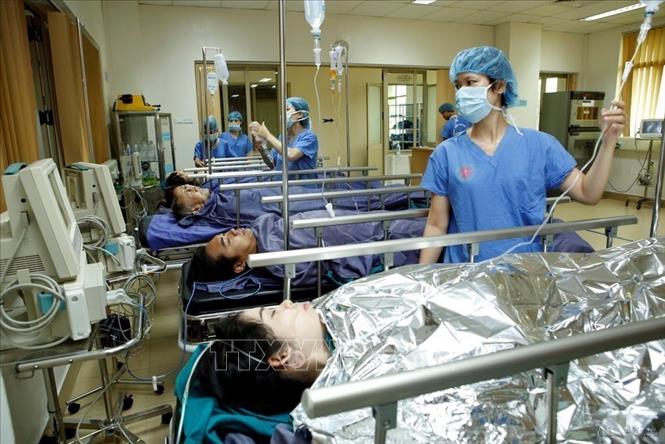 Trong giáo dục, đào tạo và y tế, cán bộ nữ chiếm tỷ lệ lớn, nhiều người có trình độ cao. Trong ảnh: Các ca mổ đều có sự đóng góp thầm lặng của các nữ bác sĩ, điều dưỡng khoa Gây mê Hồi sức – Bệnh viện Trung ương Quân đội 108. Ảnh: Dương Ngọc – TTXVN