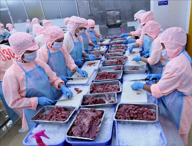 Là một lực lượng lao động xã hội đông đảo, phụ nữ Việt Nam đã tỏ rõ vai trò, khả năng, sức sáng tạo của mình trên mọi lĩnh vực của đời sống xã hội. Ảnh: Vũ Sinh - TTXVN