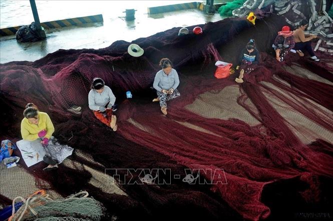 Là một lực lượng lao động xã hội đông đảo, phụ nữ Việt Nam đã tỏ rõ vai trò, khả năng, sức sáng tạo của mình trên mọi lĩnh vực của đời sống xã hội. Trong ảnh: Tại cảng cá Hòn Rớ, thành phố Nha Trang (Khánh Hòa) thường xuyên có khoảng 500 lao động nữ làm nghề vá lưới thuê. Ảnh: Quang Quyết - TTXVN