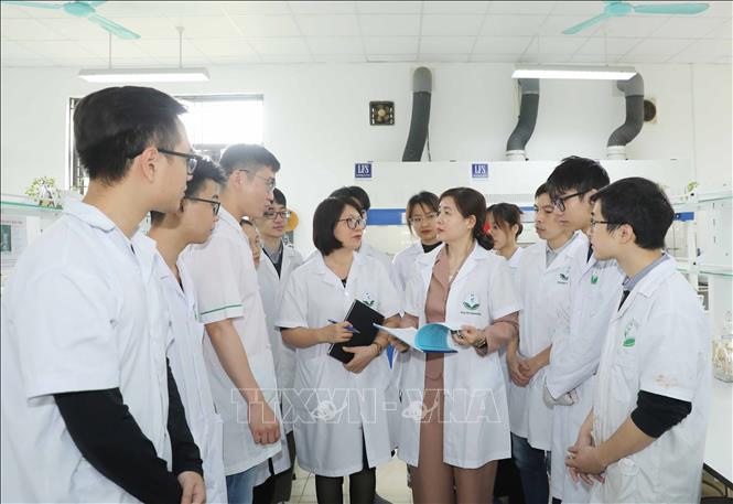 PGS.TS Phan Thị Phương Dung (thứ 3 từ phải sang), phụ trách Bộ môn Hoá dược, Khoa Công nghệ dược, Trường Đại học Dược Hà Nội hướng dẫn sinh viên nghiên cứu khoa học. Ảnh: Phương Hoa - TTXVN 