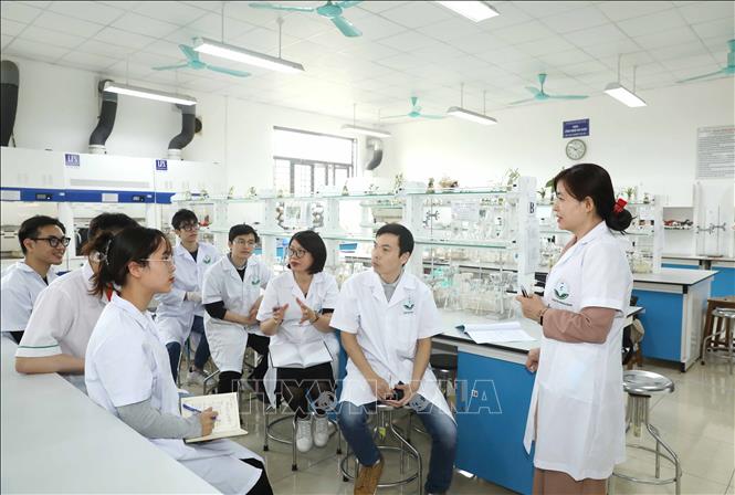 PGS.TS Phan Thị Phương Dung (bên phải), Phụ trách bộ môn Hoá dược, Khoa Công nghệ dược, Trường Đại học Dược Hà Nội hướng dẫn sinh viên nghiên cứu khoa học. Ảnh: Phương Hoa - TTXVN 
