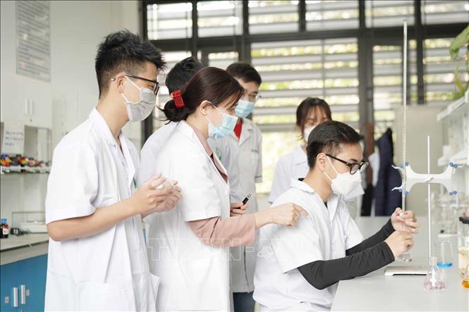 PGS.TS Phan Thị Phương Dung (thứ 2 từ trái sang), Phụ trách bộ môn Hoá dược, Khoa Công nghệ dược, Trường Đại học Dược Hà Nội hướng dẫn sinh viên nghiên cứu khoa học. Ảnh: Quỳnh Anh - TTXVN 