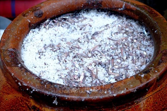 The fish sauce is qualified for the premium certificate from the Pasteur Institute in Nha Trang in 1958. VNA Photo: Quốc Dũng