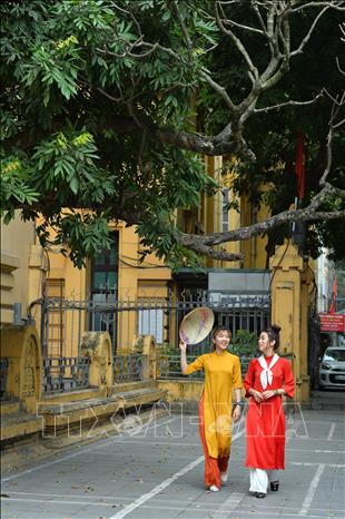Trong ảnh: Vẻ đẹp thướt tha mềm mại của các nữ công chức, viên chức lao động Thông tấn xã Việt Nam qua tà áo dài. Ảnh: Minh Đức - TTXVN