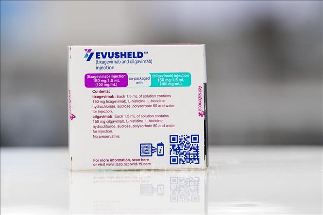 Trong ảnh: Thuốc Evusheld dự phòng COVID-19 do hãng dược phẩm AstraZeneca sản xuất. Ảnh: AFP/TTXVN