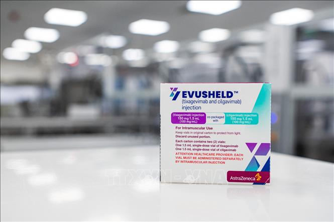 Trong ảnh: Thuốc Evusheld dự phòng COVID-19 do hãng dược phẩm AstraZeneca sản xuất. Ảnh: AFP/TTXVN
