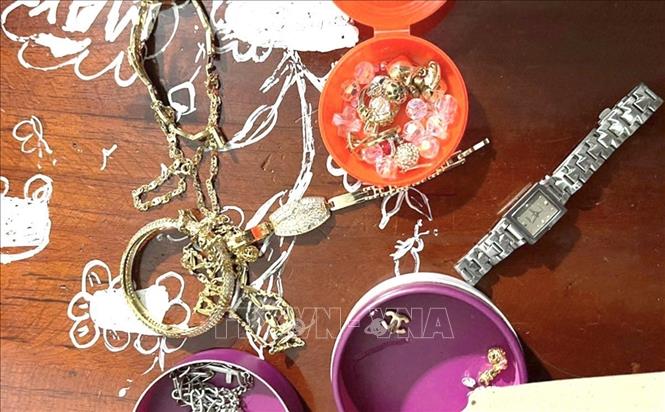 Tang vật được công an thu hồi. Ảnh: TTXVN phát