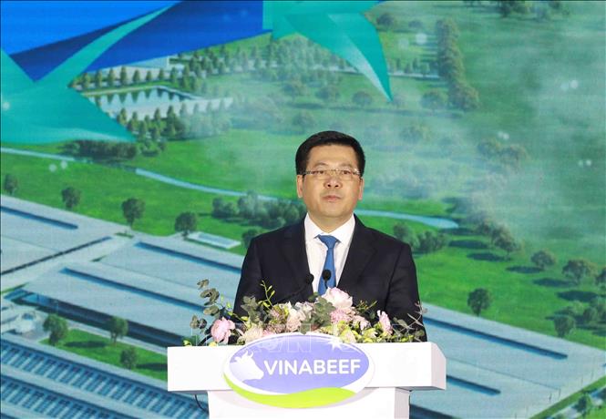 Minister of Industry and Trade Mai Hong Dien speaks at the ground-breaking ceremony. VNA Photo: Vũ Sinh