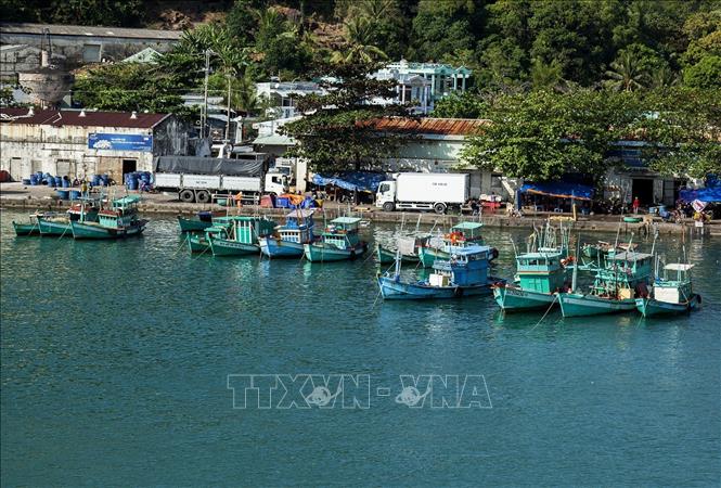 Trong ảnh: Tàu cá neo đậu tại phường An Thới, thành phố đảo Phú Quốc. Ảnh: Hồng Đạt - TTXVN
