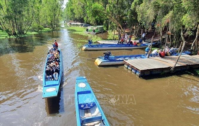 Tourists visit the Tra Su Cajeput Forest Tourist Site in Tinh Bien district. VNA Photo: Thanh Sang