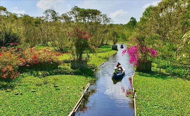 Tourists take boat trips in the Tra Su Cajeput Forest Tourist Site in Tinh Bien district. VNA Photo: Thanh Sang
