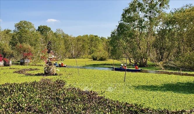 Tourists take boat trips in the Tra Su Cajeput Forest Tourist Site in Tinh Bien district. VNA Photo: Thanh Sang