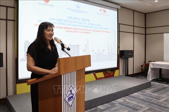 ITPC Vice Director Cao Thi Phi Van speaks at the conference. VNA Photo: Xuân Anh 