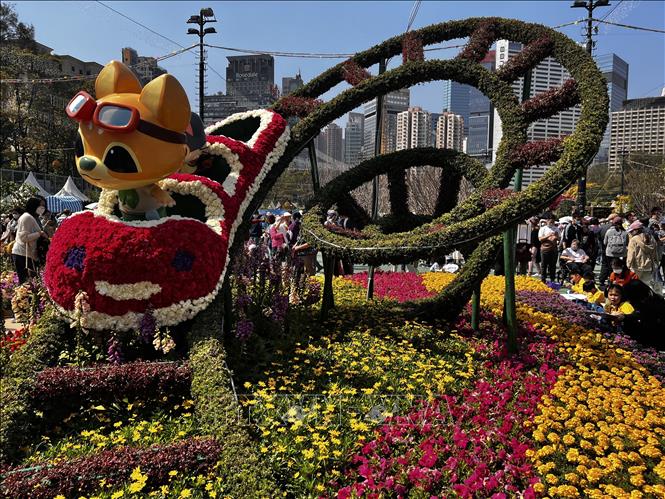 Triển lãm hoa tại công viên Victoria, Hong Kong (Trung Quốc). Ảnh: Mạc Luyện - PV TTXVN tại Hong Kong