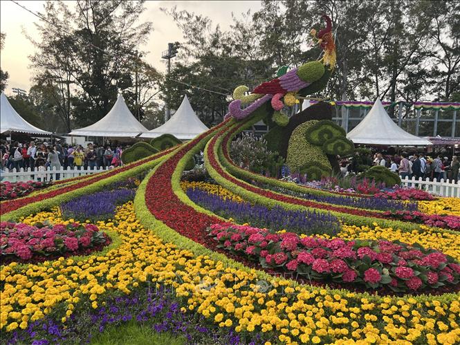 Tác phẩm được làm từ hoa tại Triển lãm hoa ở Hong Kong, Trung Quốc. Ảnh: Mạc Luyện/TTXVN 