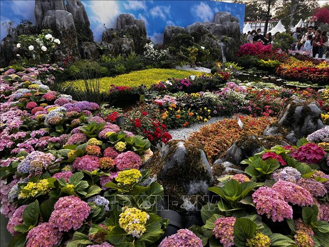 Biển hoa tại triển lãm hoa Hong Kong, Trung Quốc. Ảnh: Mạc Luyện - TTXVN