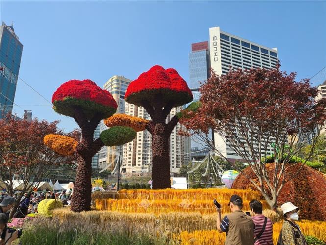 Triển lãm hoa tại Công viên Victoria, Hong Kong (Trung Quốc). Ảnh: Mạc Luyện - TTXVN