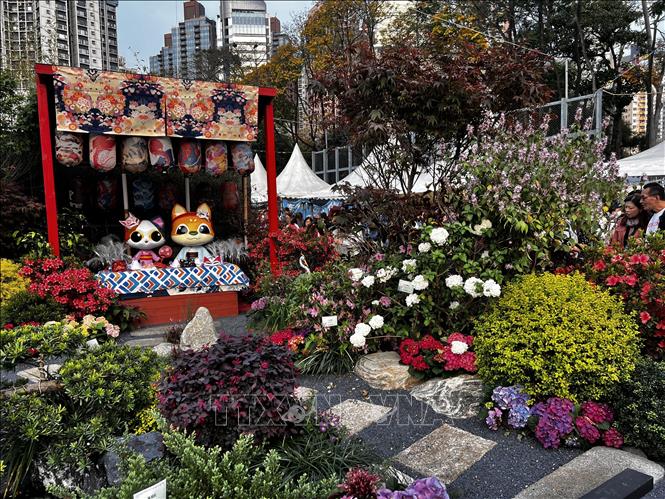 Khu vườn kiểu Nhật tại triển lãm hoa Hong Kong, Trung Quốc. Ảnh: Mạc Luyện - TTXVN