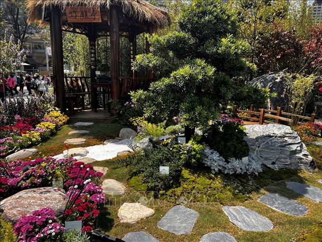 Triển lãm hoa tại Công viên Victoria, Hong Kong (Trung Quốc). Ảnh: Mạc Luyện - TTXVN