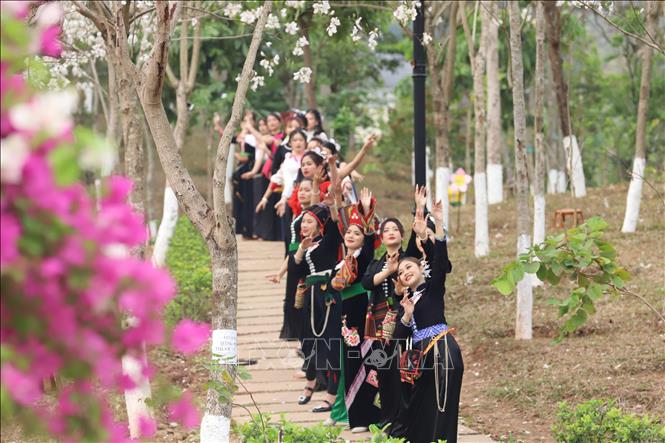 Trong ảnh: Trình diễn thực cảnh người đẹp hoa Ban trong trang phục dân tộc Thái. Ảnh: Quang Quyết-TTXVN