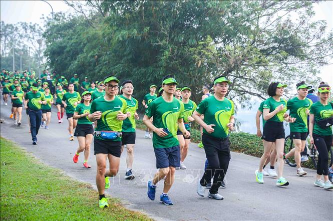 Các VĐV trên đường chạy. Ảnh: Trần Việt - TTXVN 