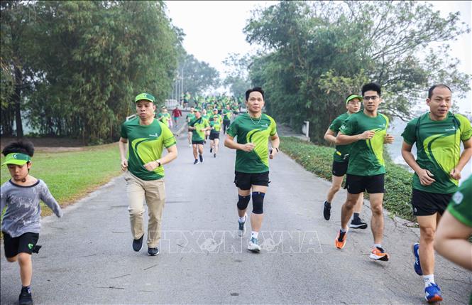Các VĐV trên đường chạy. Ảnh: Trần Việt - TTXVN 