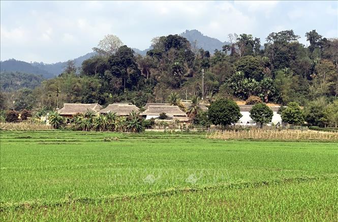 Trong ảnh: Làng văn hóa Tân Lập, xã Tân Trào, huyện Sơn Dương (Tuyên Quang). Ảnh: Vũ Quang – TTXVN