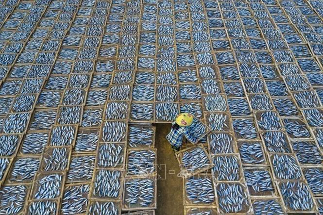 Vị thế của Nhiếp ảnh Việt Nam trên trường quốc tế từng bước được nâng cao, nhiều tác phẩm đoạt giải cao ở trong nước và quốc tế. Trong ảnh: Tác phẩm 