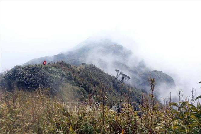Ở độ cao hơn 3000m, dãy núi Bạch Mộc Lương Tử thường được mây mù bao phủ tạo nên khung cảnh kỳ bí, huyền ảo. Ảnh: Quý Trung – TTXVN