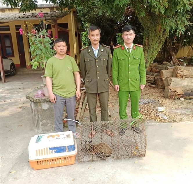 Receiving a masked palm civet from the rangers' unit of the central province of Thanh Hoa. Photo by courtesy/VNA