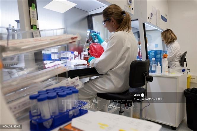 Nhân viên làm việc tại phòng thí nghiệm của hãng dược phẩm Sanofi ở Vitry-Sur-Seine gần Paris, Pháp. Ảnh: AFP/TTXVN