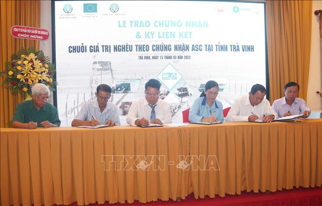 Signing the MoU to develop value chains for clam farming with the three cooperatives. VNA Photo: Thanh Hòa