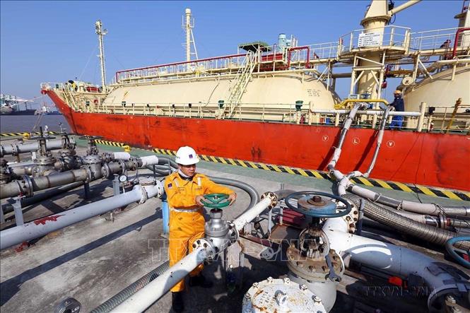 Công ty Cổ phần Rent A Port (Bỉ) đầu tư xây dựng hạ tầng khu công nghiệp Đình Vũ tại Hải Phòng (nay là Tổ hợp Khu công nghiệp DEEP C). Ảnh: Danh Lam – TTXVN