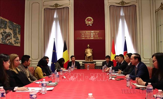 Tọa đàm về hợp tác phát triển bền vững ngành du lịch giữa tỉnh Ninh Bình và các đối tác tại Vương quốc Bỉ (Brussels, 10/3/2023). Ảnh: TTXVN