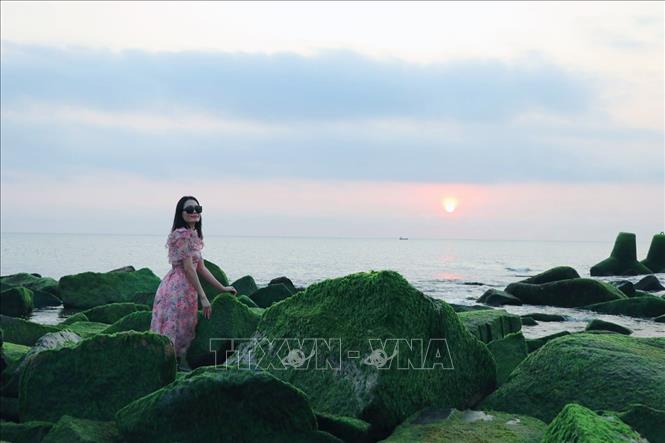 Thảm rêu xanh mướt vào thời điểm bình minh làm phong cảnh bãi biển xóm Rớ trở nên hữu tình. Ảnh: Xuân Triệu - TTXVN