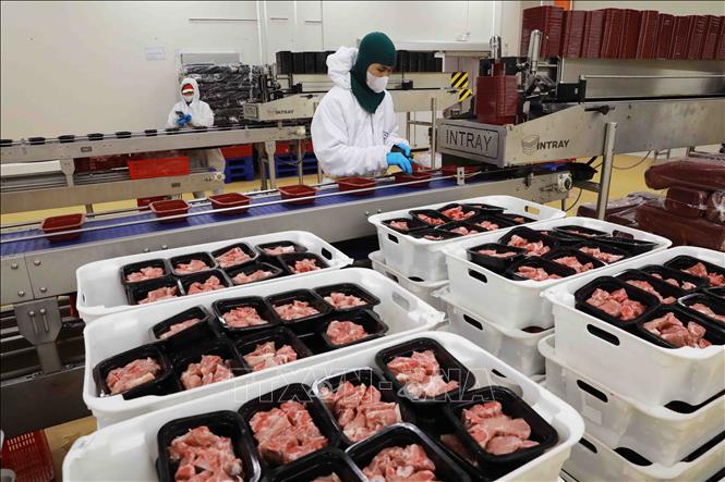 Sản phẩm thịt lợn mát thương hiệu “MEATDeli” được bảo quản đạt chuẩn công nghệ Châu Âu trong suốt quá trình chế biến. Ảnh: Vũ Sinh - TTXVN